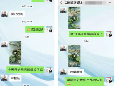冬瓜苗生根快长用什么肥料好?