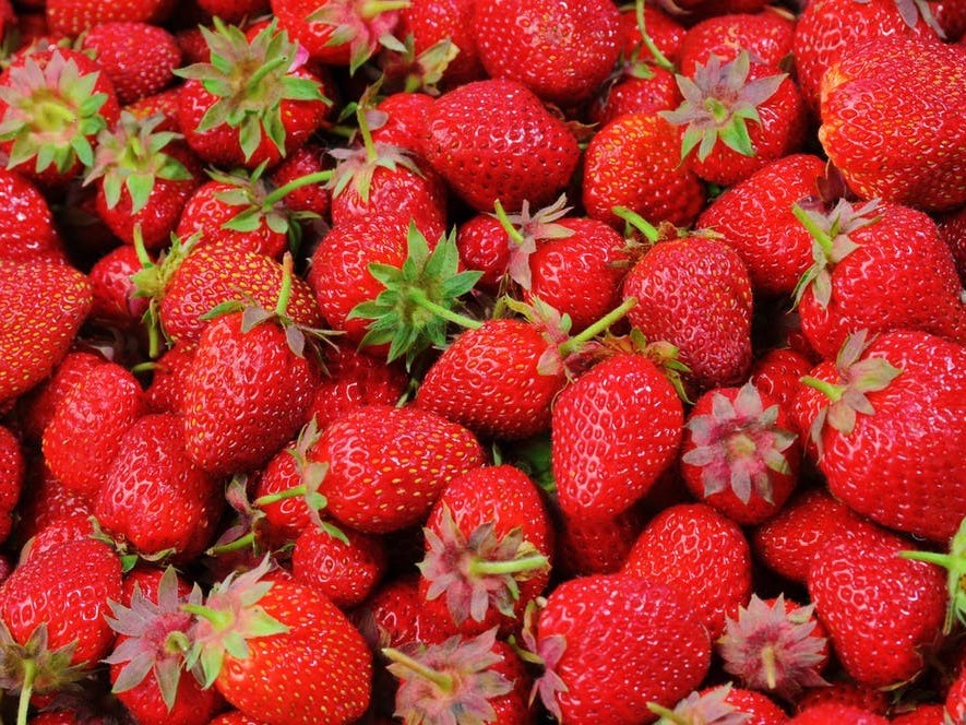 草莓施肥的禁忌，草莓施肥的注意事项