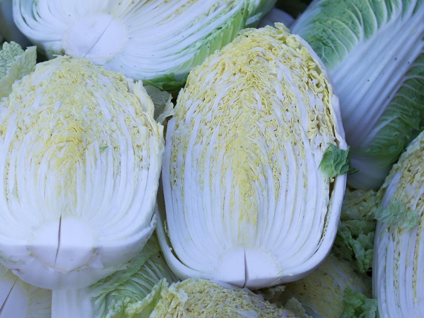 白菜的需肥规律，白菜如何施肥可以高产