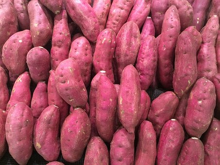 红薯的施肥方法，红薯如何防止早衰？
