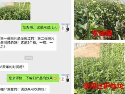 辣椒使用什么微生物菌剂长势好?
