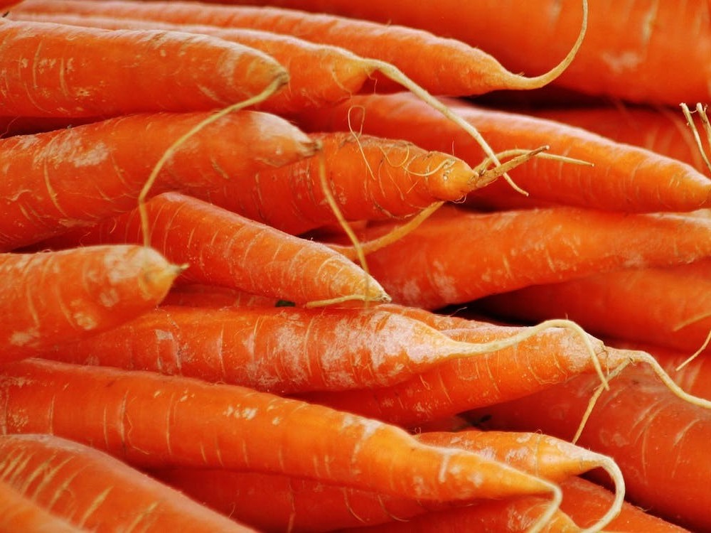 胡萝卜需肥规律，胡萝卜如何施肥产量高