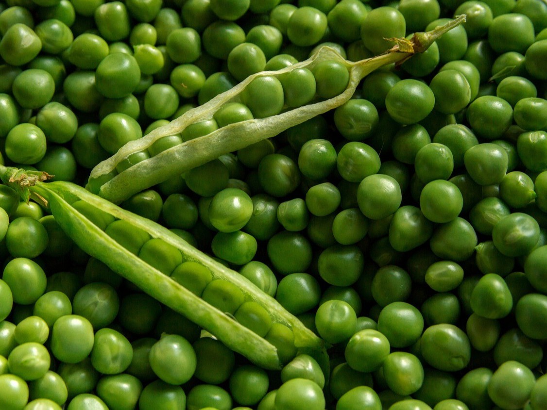 豌豆的需肥量，豌豆如何施肥产量高