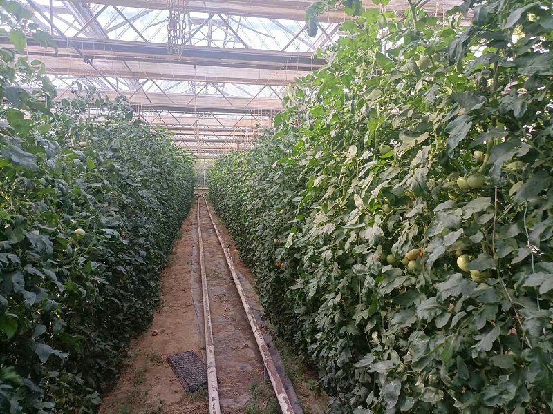 mmexport1655973929434