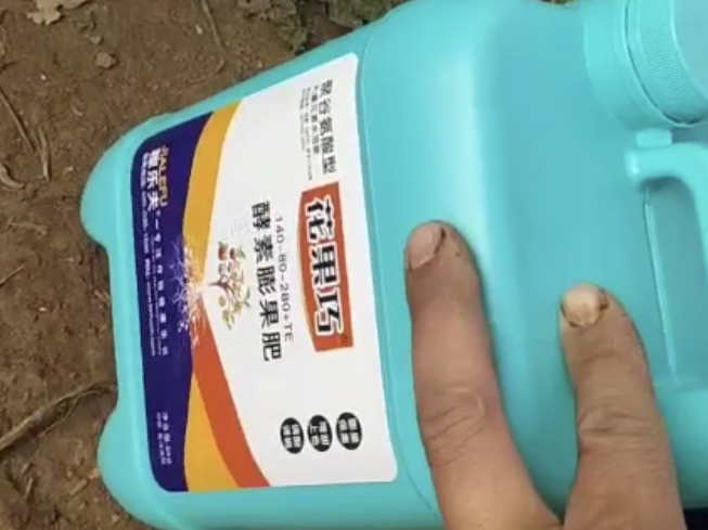 农户使用稼乐夫花果巧
