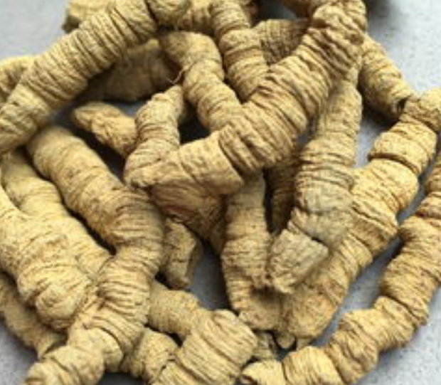 巴戟天种植技术与栽培管理，种巴戟天的高产方法