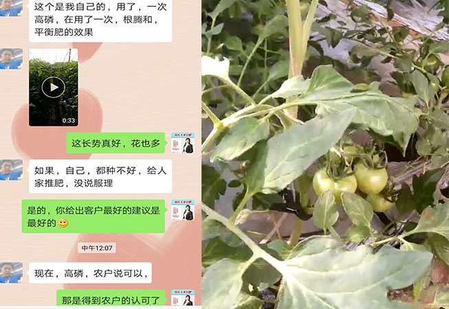 陕西省咸阳市泾阳县代理商陈经理