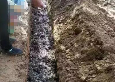 果树施肥怎样施效果好?
