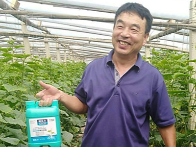 菏泽郓城黄瓜种植户吕大哥——稼乐夫水溶肥客户案例