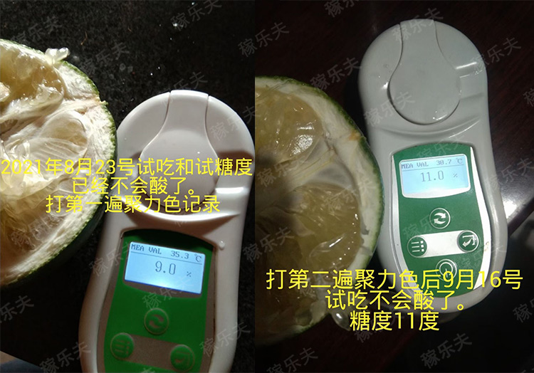 葡萄柚施什么肥能去酸增甜？