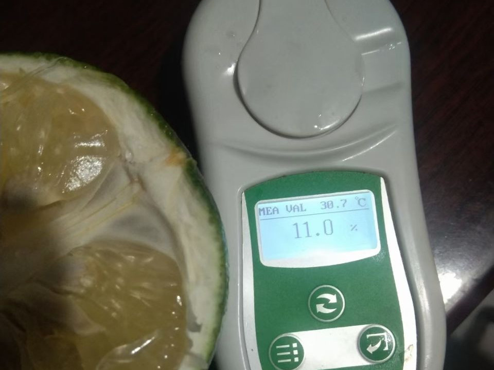 葡萄柚施什么肥？稼乐夫建议这样做果多价高