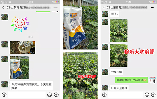 山东青岛零售商刘经理