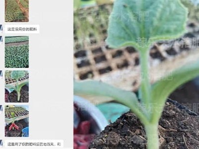 西瓜微生物菌剂选择什么厂家好?