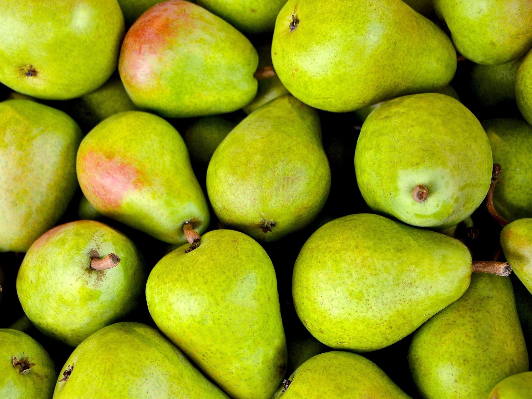 梨树缺钙的症状？梨树黑心病怎么办？