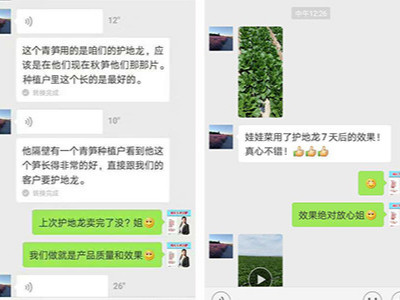 甘肃金昌代理商刘经理——稼乐夫水溶肥客户案例