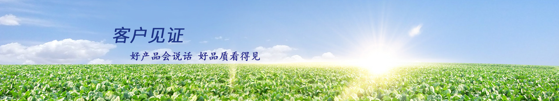 稼乐夫有机无机水溶肥,客户使用效果反馈