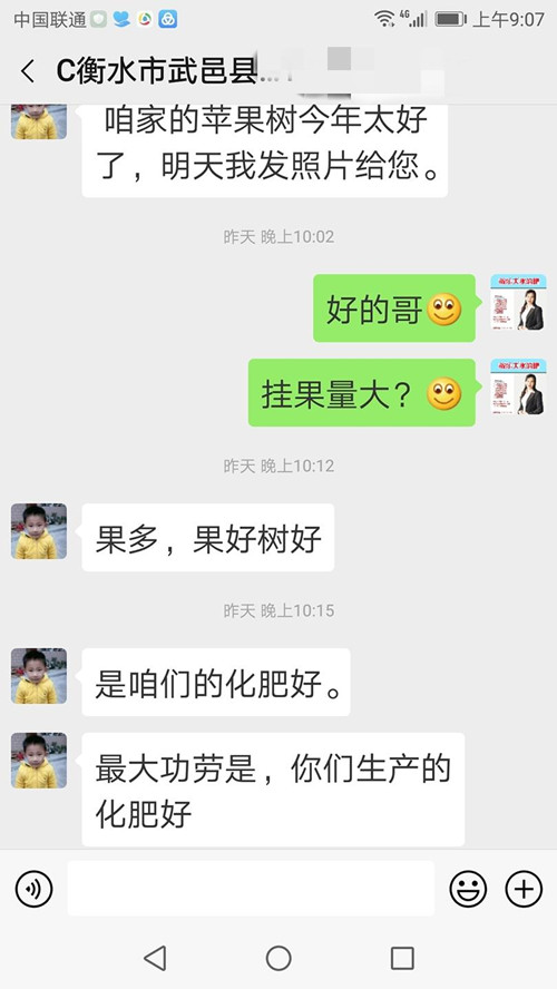 河北衡水苹果种植户武经理