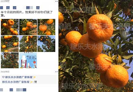 柑橘叶面肥,稼乐夫水溶肥