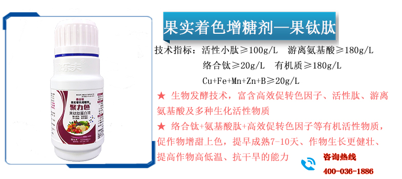 果钛肽