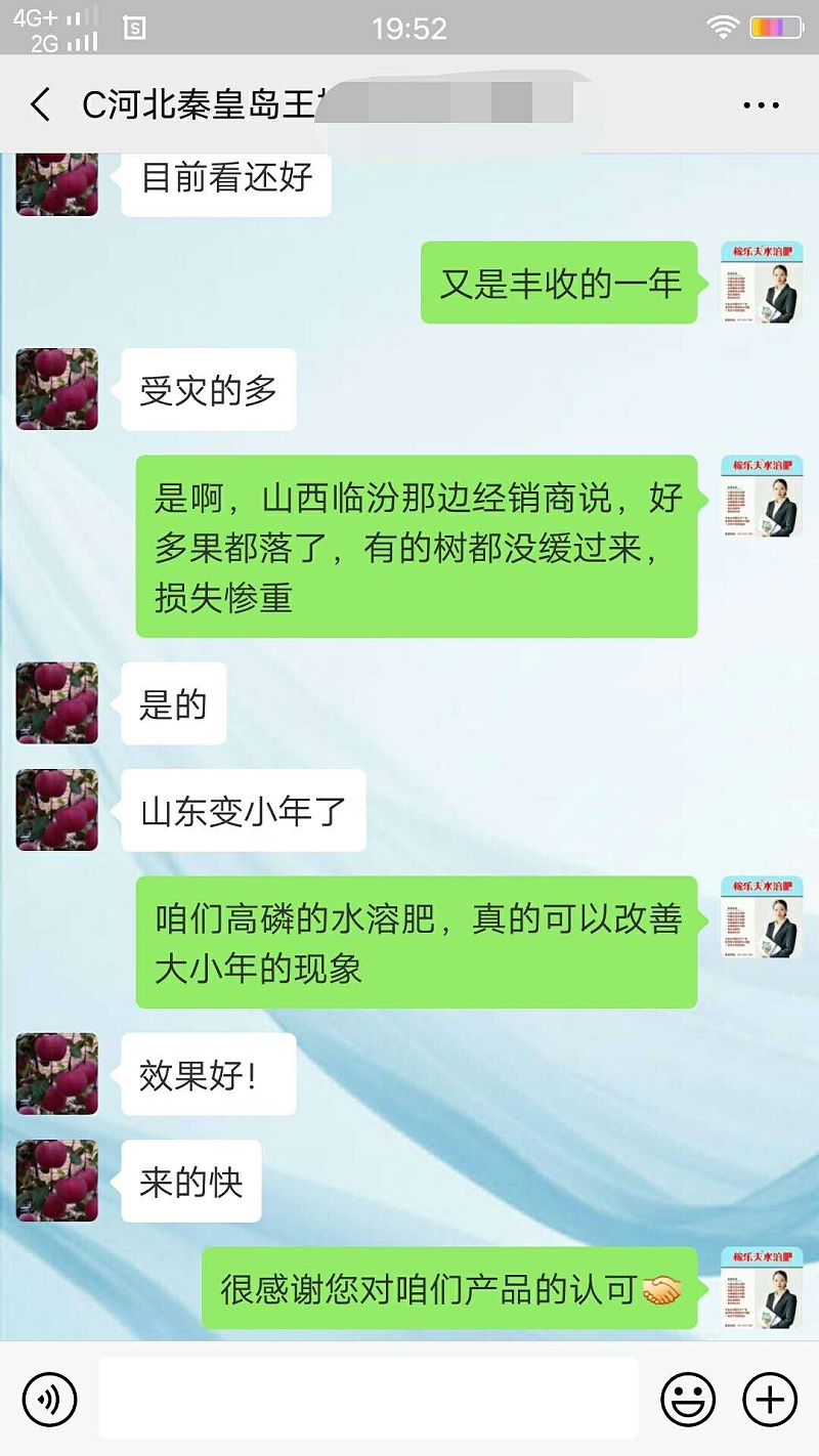 河北秦皇岛苹果种植户王经理