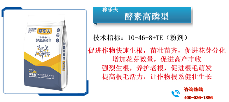 酵素高磷型