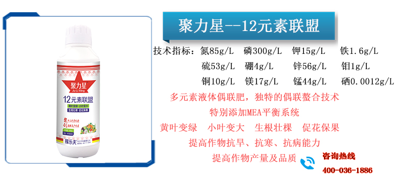聚力星--12元素联盟