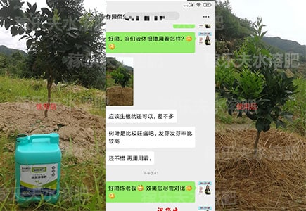柑橘树用什么牌子生根水溶肥好?