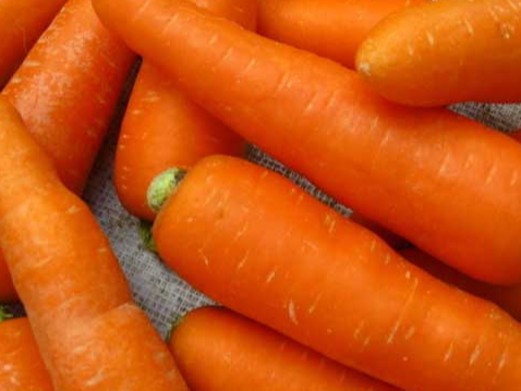 胡萝卜如何施肥可高产,胡萝卜施肥技术