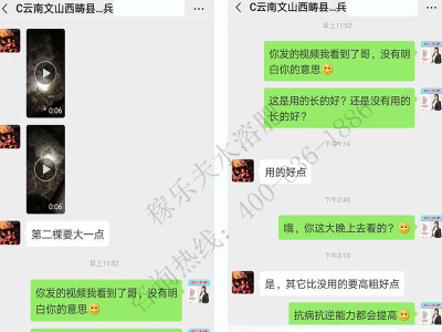 柑橘树小苗使用什么肥料能够促进长势?
