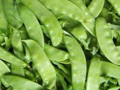 荷兰豆微生物菌剂用什么牌子好?