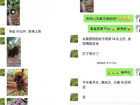 葡萄上怎么用肥好?