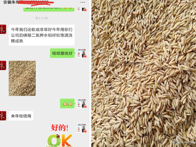 安徽淮南水稻种植户朱经理——稼乐夫水溶肥客户案例