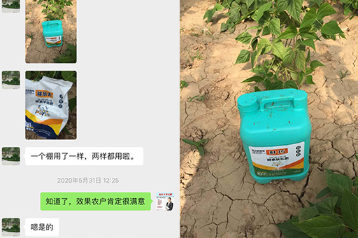 使用稼乐夫水溶肥效果明显