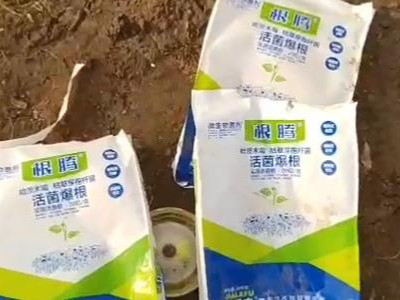 香瓜、西瓜等瓜类作物苗期用什么肥料效果好？