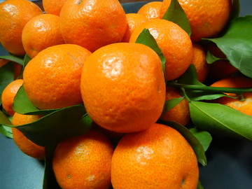 水溶肥可以减少柑橘浮皮果吗？