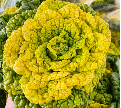 黄心菜