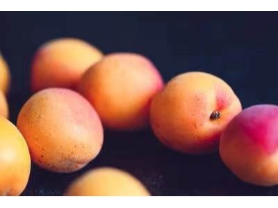 李子膨果肥用什么肥好，李子膨果用什么钾肥？