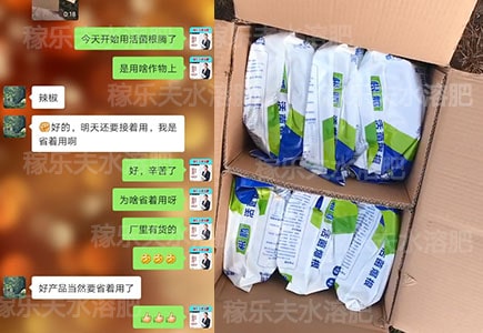辣椒微生物菌剂哪家好,稼乐夫微生物菌剂厂家