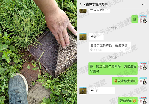 吉林永吉水稻种植户张经理