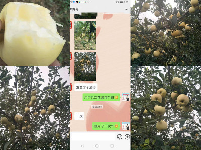 苹果用什么品牌的膨果肥好?