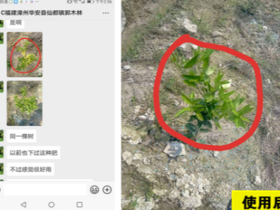 柑橘上缺素选择什么厂家的肥料效果好?