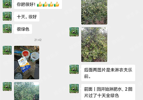 施用稼乐夫水溶肥客户案例