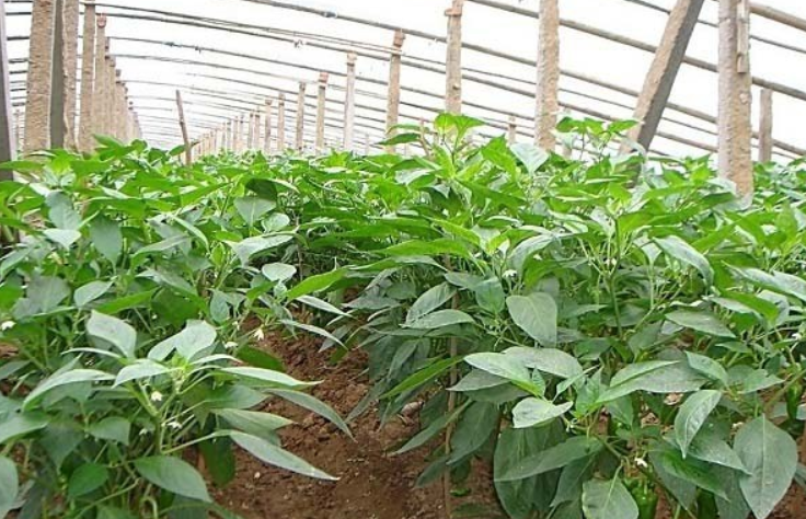 360截图20231019095714709