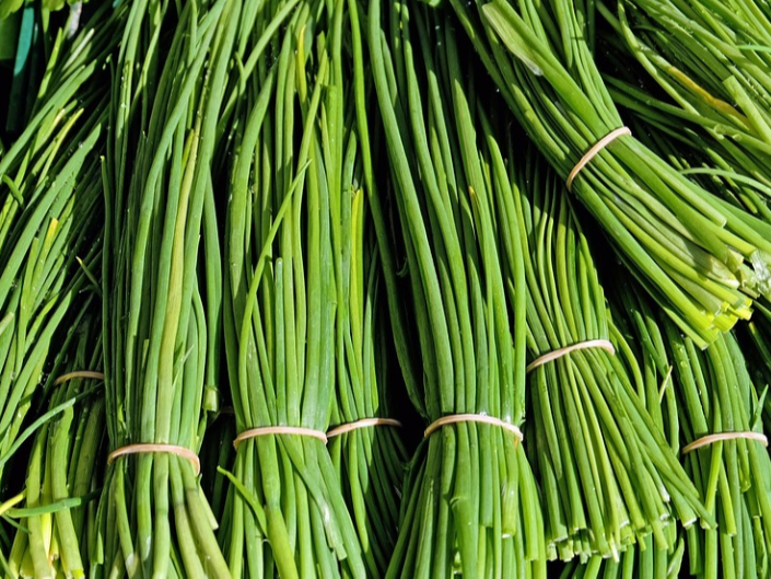 韭菜种植需要注意什么？韭菜的种植技术