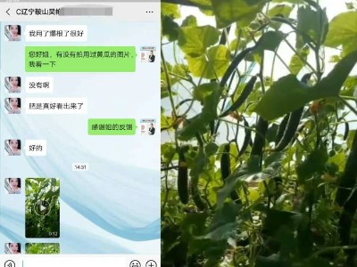 什么厂家的肥料对温室黄瓜好?