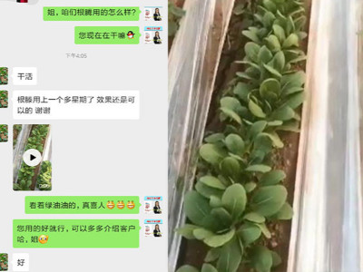 蔬菜上用肥如何选择肥料？