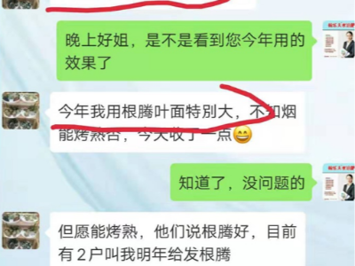 烤烟上用什么微生物肥料好?