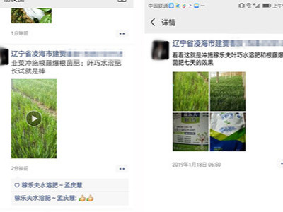 辽宁凌海韭菜种植户贾老师——稼乐夫水溶肥客户案例