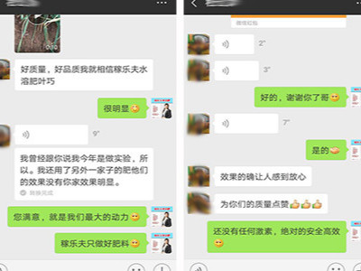 陕西岐山蒜苗种植户杜大哥——稼乐夫水溶肥客户案例