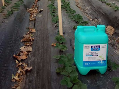 稼乐夫水溶肥为您解析 水溶肥的施用方法及注意事项